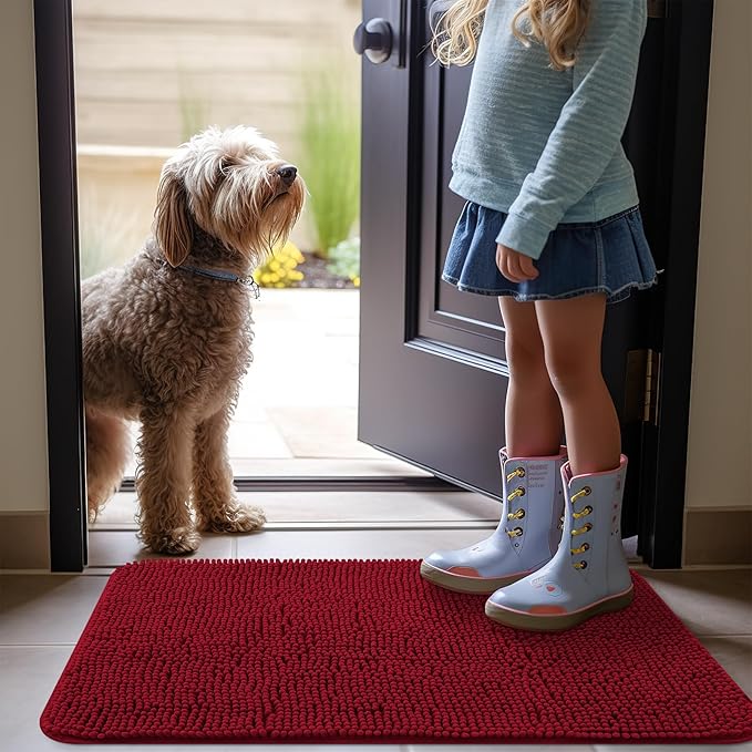 OLANLY Dog Door Mat for Muddy Paws 24x16