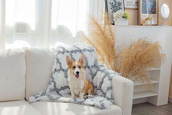 PJYuCien Fluffy Fleece Calming Pet Throw Blanket 30 * 40", Machine