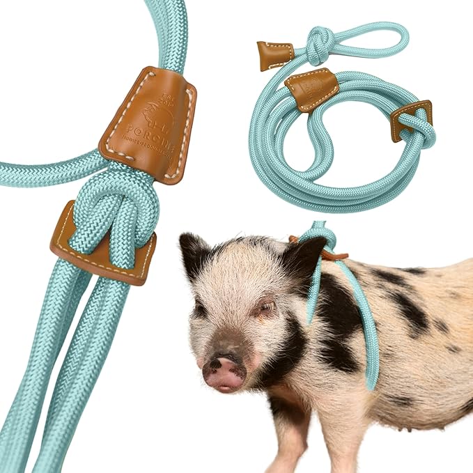 Mini Pig Harness & Leash (S/M) Fully Adjustable, Infinity Style Lead, Step-in Harness, Potbelly Pig Supplies, All-in One, Pig Leash, Ideal for Small & Medium Pet Pigs (Small, Eggshell Blue)