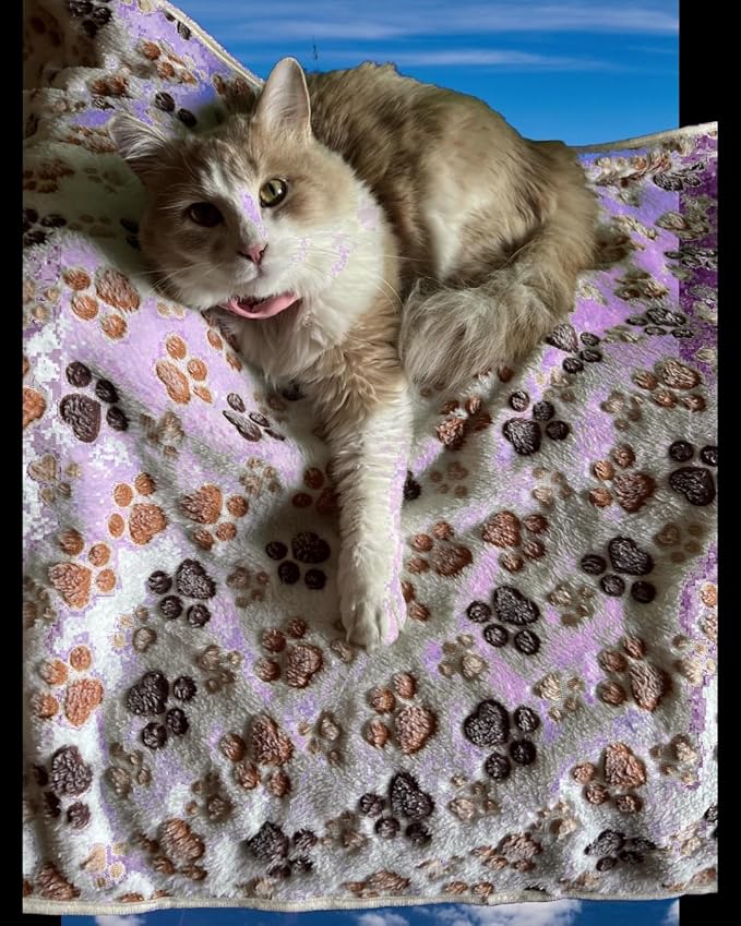 Pet Blankets Calico Beige Collection. Pet Blankets for Cats