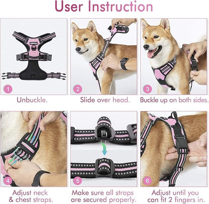 rabbitgoo Dog Harness 2 Leash