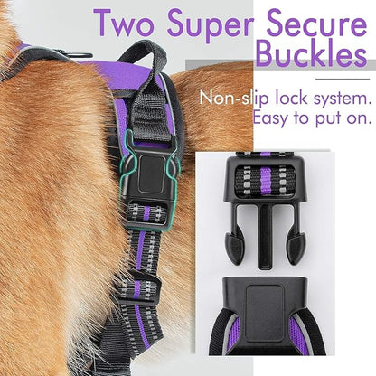 rabbitgoo Dog Harness, No-Pull Pet Harness with 2 Leash Clips, Adjustable Soft Padded Dog Vest, Reflective No-Choke Pet Oxford Vest with Easy Control Handle for Large Dogs, Purple, XL