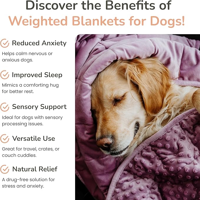 Calming Weighted Dog Blanket for Anxiety Relief