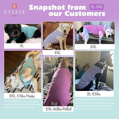 KYEESE 2 Pack Dog Shirts Quick Dry Soft Stretchy Dog T-Shirts with Reflective Label Tank Top Sleeveless Vest Sun Protection Dog Clothes for Small Dogs