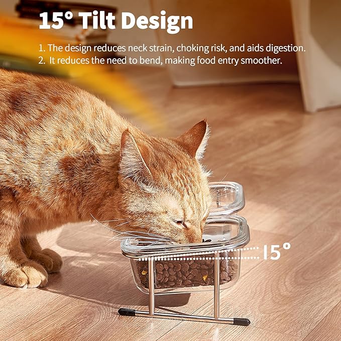 Elevated Cat Bowls, 15° Tilted Glass Raised Cat Food Bowl with Stainless Steel Stand, 2 Large Capacity Glass Cat Bowls and 4 Anti Slip Feet, Suitable for Cats and Little Dogs