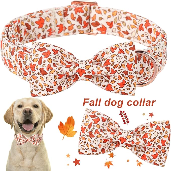 ARING PET Fall Dog Collar-Cute Maple Leaves Dog Collar with Bow