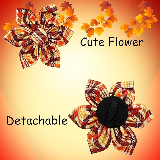 Elegant little tail Fall Dog Collar