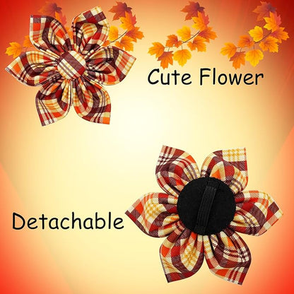 Elegant little tail Fall Dog Collar