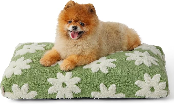 Lesure Small Dog Beds-Thick Shredded Chopped Foam Pet Bed Bottom(24'x16', Green)