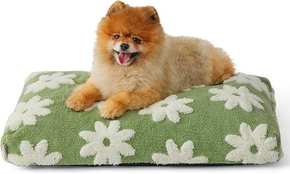 Lesure Small Dog Beds-Thick Shredded Chopped Foam Pet Bed Bottom(24'x16', Green)