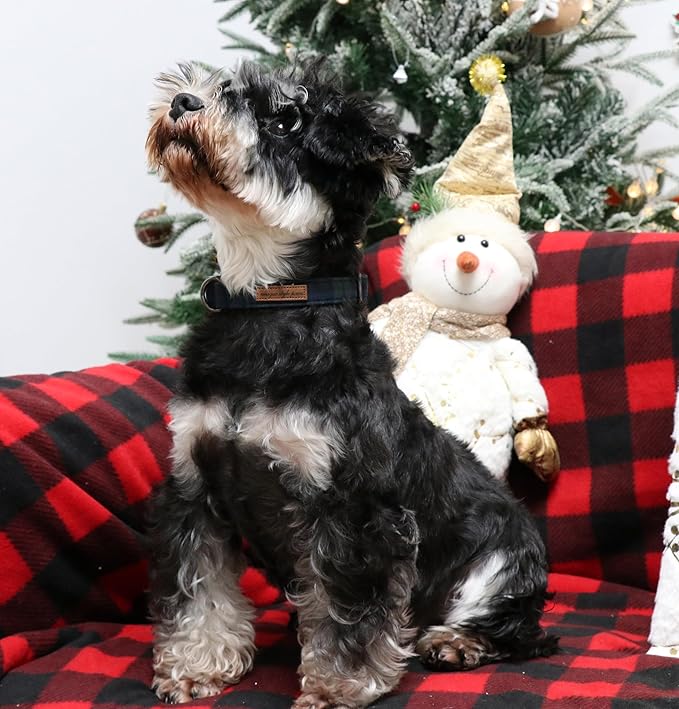 Unique style paws Dog Collar Metal Buckle Collar