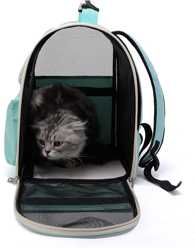 Pet Cute Foldable Capsule Backpack for Small, Medium Cats, Puppies, Dogs, Transparent, Breathable, Heat Resistant Carry Bag for Travel, Hiking, Camping (Green)