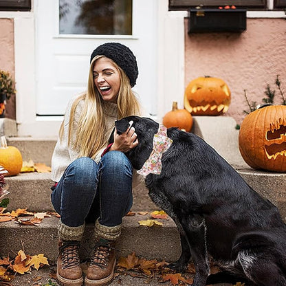 Elegant little tail Fall Dog Collar