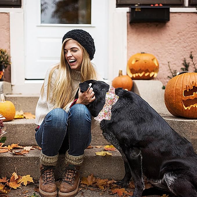 Elegant little tail Fall Dog Collar