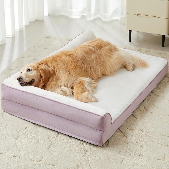 Large Orthopedic Dog Beds for Large Dogs