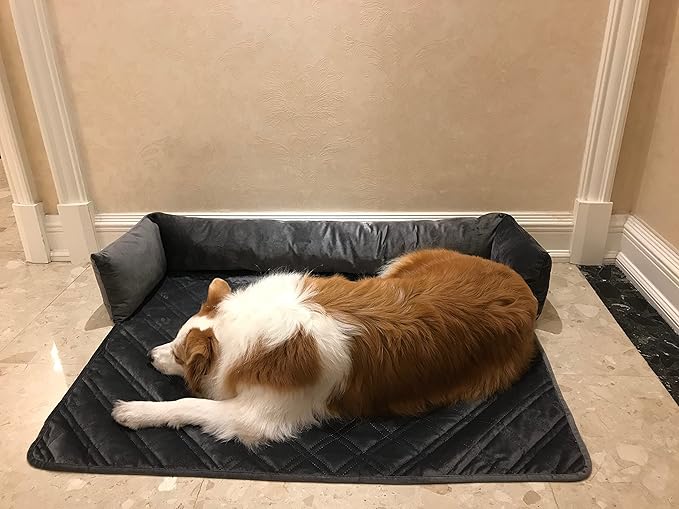 Brilliant Sunshine Premium Grey Silky Velvet Pet Sofa Bed