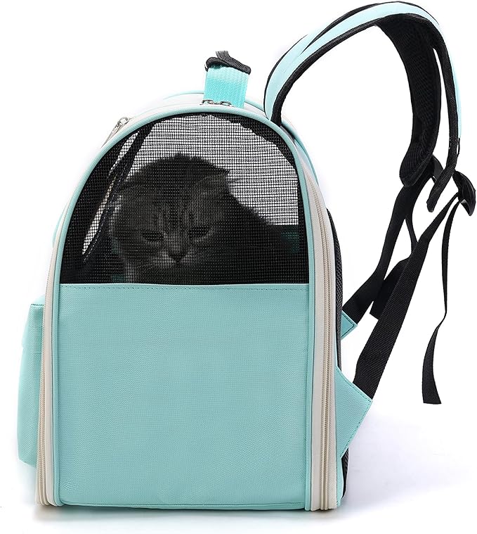 Pet Cute Foldable Capsule Backpack for Small, Medium Cats, Puppies, Dogs, Transparent, Breathable, Heat Resistant Carry Bag for Travel, Hiking, Camping (Green)