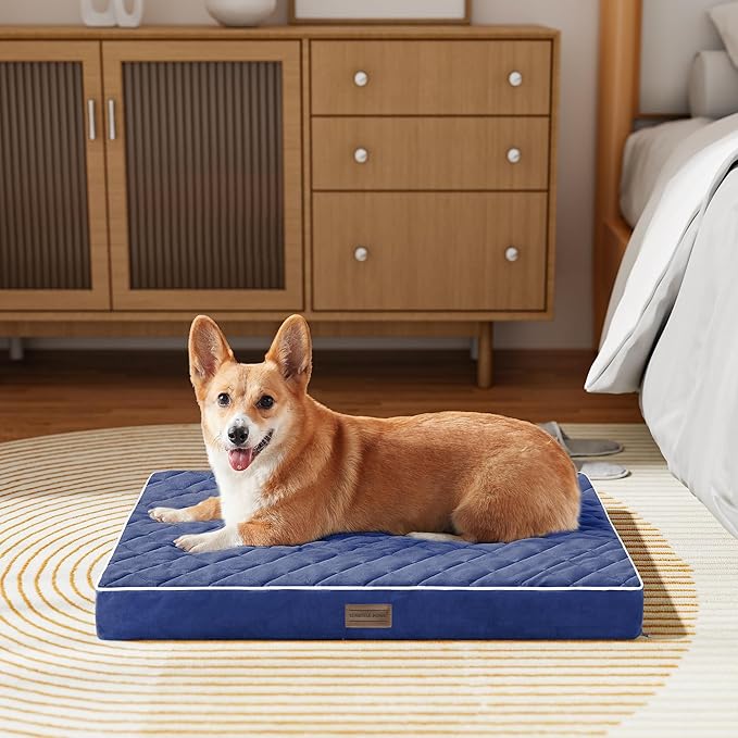 SunStyle Home Orthopedic Dog Beds for Medium Dogs