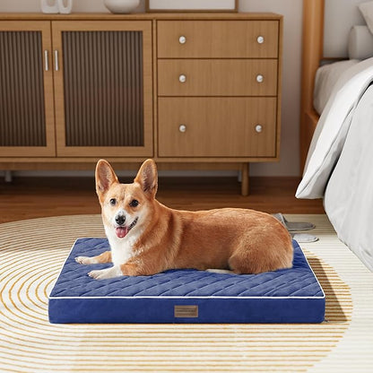 SunStyle Home Orthopedic Dog Beds for Medium Dogs