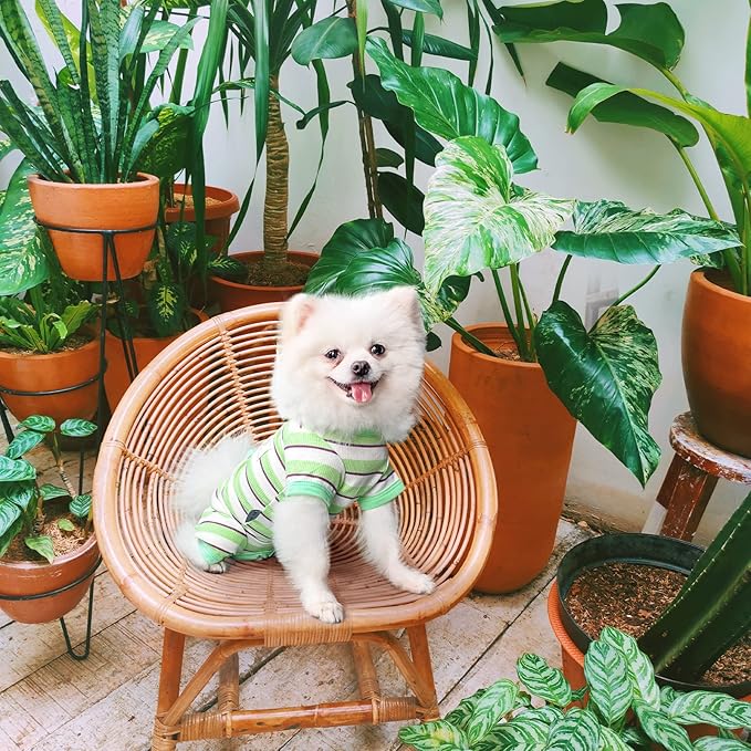 TONY HOBY Dog Pajamas, Dog Jumpsuit 4 Legged Pajamas with Green Stripe, Female Dog Pajamas Pet Clothes for Small Medium Size Dog (Green&White, Girl, L)