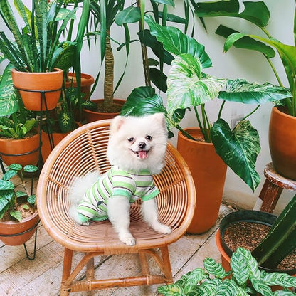 TONY HOBY Dog Pajamas, Dog Jumpsuit 4 Legged Pajamas with Green Stripe, Female Dog Pajamas Pet Clothes for Small Medium Size Dog (Green&White, Girl, L)