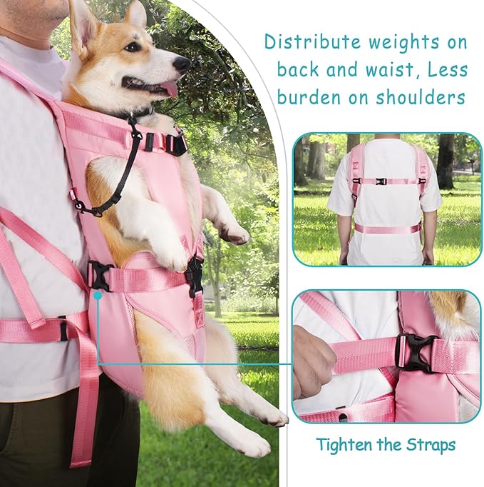 PetBonus Pet Front Dog Carrier Backpacks, Adjustable Dog Backpack Carrier, Legs Out Easy-fit Dog Chest Carrier for Medium Small Dogs, Hands Free Dog Front Carrier for Hiking, Cycling (Pink, L)