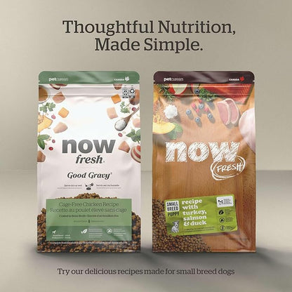 Now Fresh Grain-Free Dry Dog Food 6 lb