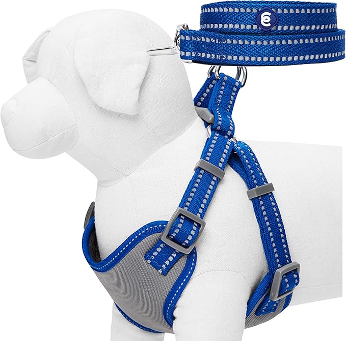 Blueberry Pet Essentials Pastel Color Reflective Matching Dog Harness Vest and Leash Set in Navy, Adjustable Harness with 4 ft Leash for Large Dogs