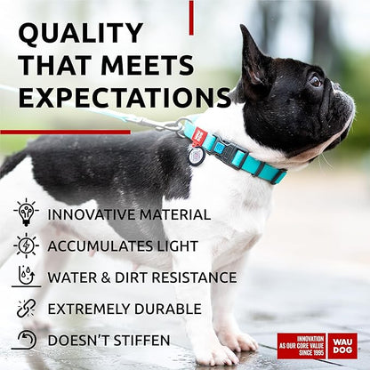 Waterproof Dog Collar (11" - 15 1/2"