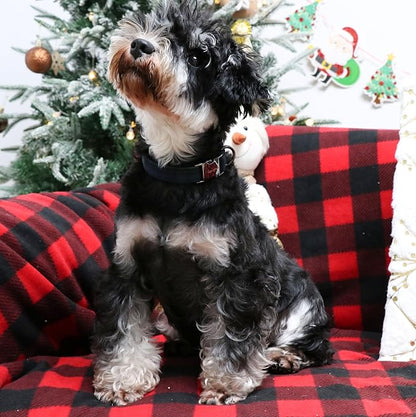 Unique style paws Dog Collar Metal Buckle Collar