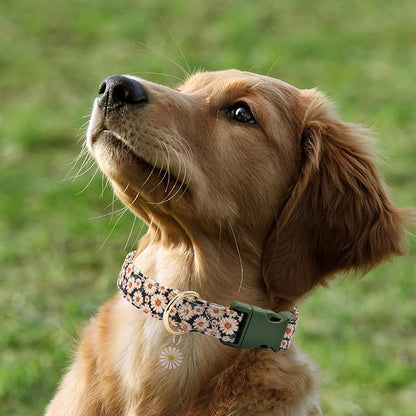 Flower Patterns Dog Collar with Accessories