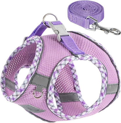 Dog Harness and Leash Set, No Pull Pet Harness for Small Dogs Easy Walking,Soft Breathable Small Dog Harness,Adjustable Reflective Step in Vest Harness for Puppy,Kitten, Cats