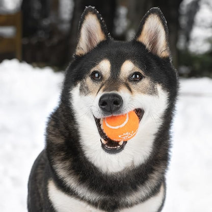 Best Pet Supplies Squeaky Tennis Toys for Dogs, 4-Pack, Heavy-Duty Interactive Pet Toys for Throwing and Fetching, Supports Exercise and Natural Behavior Training, Durable - Large