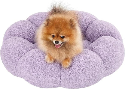 Lesure Calming Small Dog Bed 25 lbs, 23"