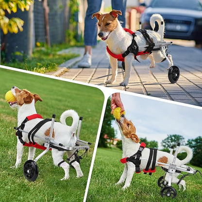 Dog/Cat Wheelchair for Back Legs