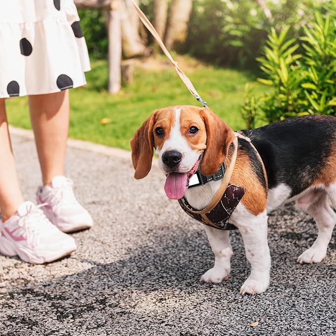 Reflective Collar Replacement Strap (2cm Wide)