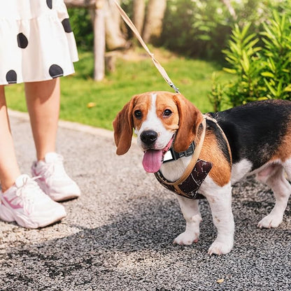 Reflective Collar Replacement Strap (2cm Wide)