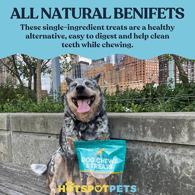 hotspot pets Freeze Dried Salmon Skin Flakes | Single Ingredient Fish Treats for Dogs & Cats | Rawhide-Free All Natural Grain Free Topper with Omega 3-6 Fish Oil