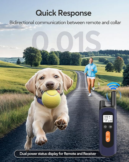 Dog Shock Collar 2 Dogs 1/2 Mile, IPX7 Waterproof 4 Training