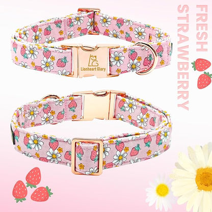 Lionheart glory Dog Collar Pink Dogs Collar Spring