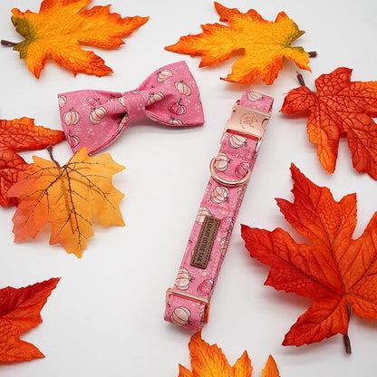 Elegant little tail Dog Collar with Bow