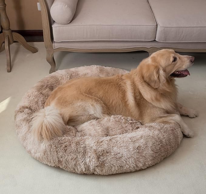 Coohom Oval Calming Donut Cuddler Dog Bed Bed(30"/36") for (XXL(43"x34"x8"), Beige2021)