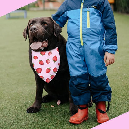 Strawberry Fruit Dog Bandana Washable Pets Scarf Triangle Adjustable Handkerchief