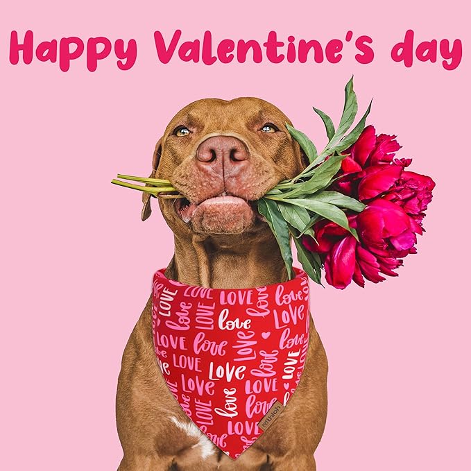 Valentines Day Dog Bandana 2 Pack