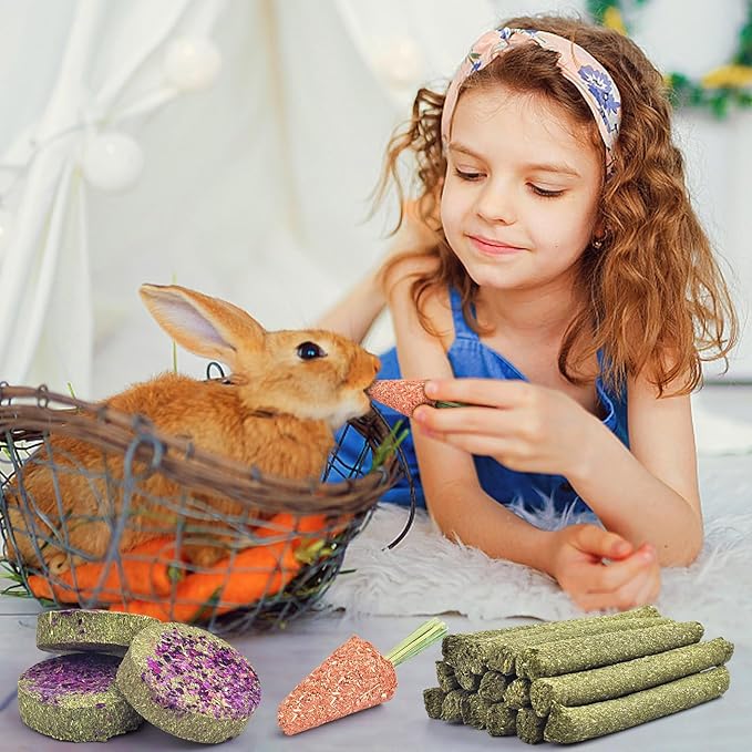 KATUMO 24PCS Rabbit Chew Treats, Healthy Bunny Treats Natural Timothy Hay Sticks Rabbit Chew Toys Small Animal Treats