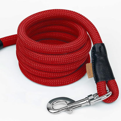 Dog Leash ((1/3") - 6FT, Red)