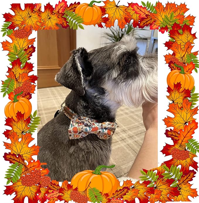 Unique Style Paws Dog Collar with Bow