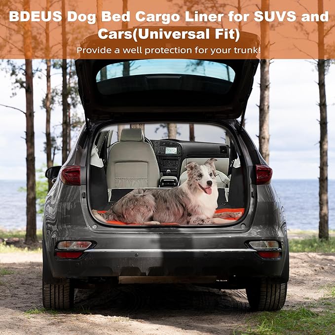 BDEUS 51x35In Extra Large Size Outdoor Dog Bed