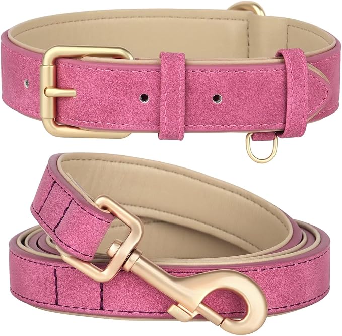 Beirui Soft Padded Leather Dog Collar and Leash Set 4FT Leather