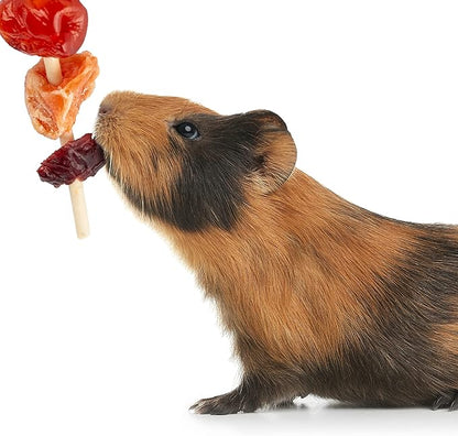 Wild Harvest Fruit Kabobs, 6 Count, for Pet Rabbits, Guinea Pigs, Hamsters, Gerbils, Mice and Rats